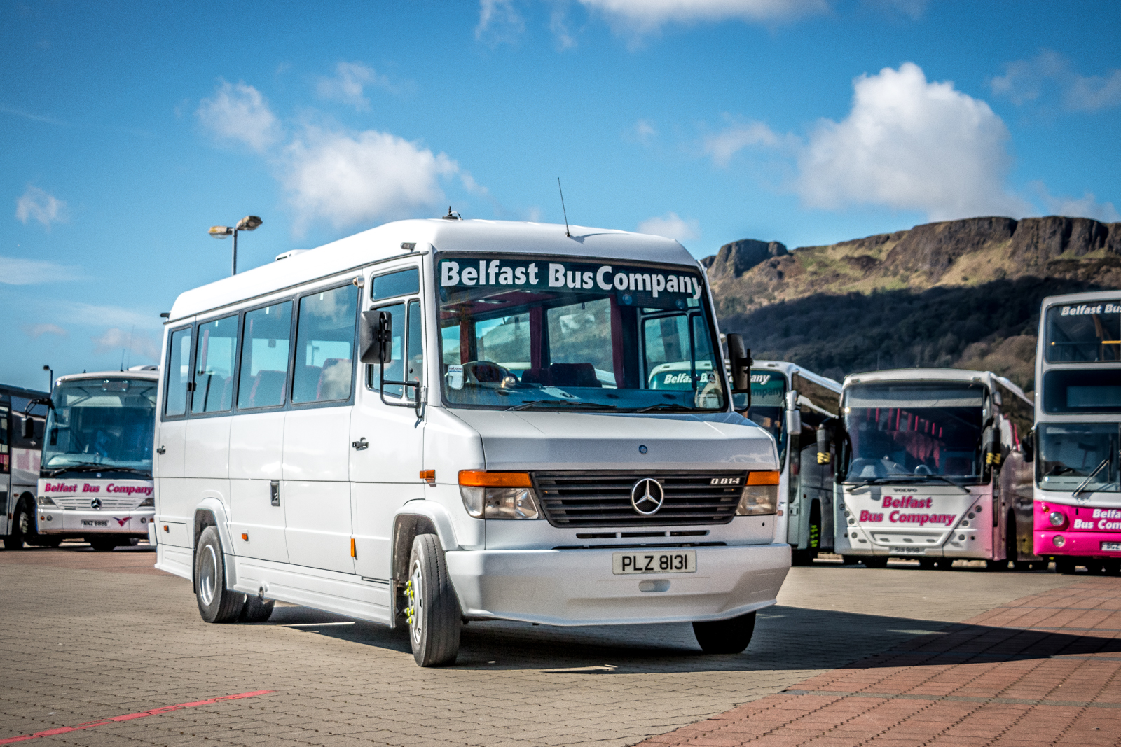 BELFAST BUS COMPANY